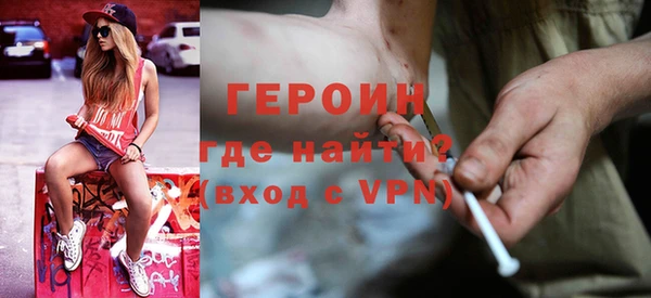 хмурый Аркадак
