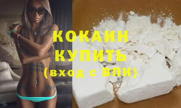 гашик Касимов