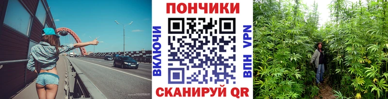 Конопля план  цена наркотик  Красный Холм 